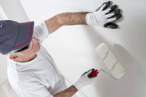Best Industrial Mold Remediation  in Hallowell, ME