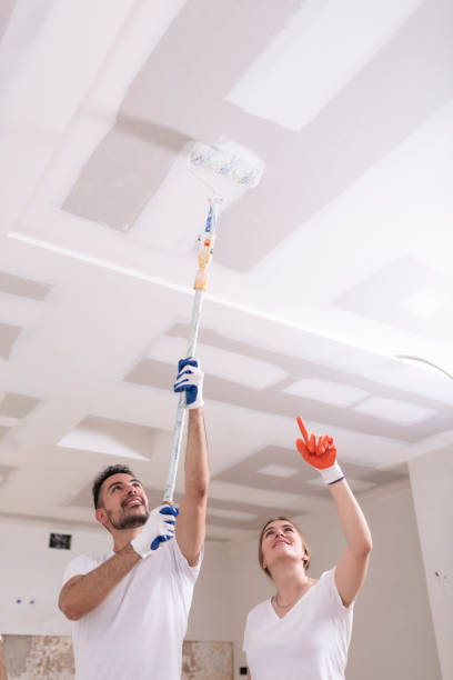 Best Residential Mold Inspection & Testing  in Hallowell, ME