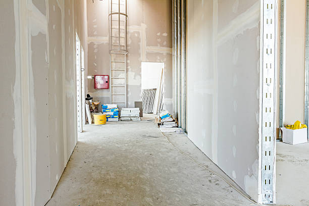Best Biohazard Mold Removal  in Hallowell, ME